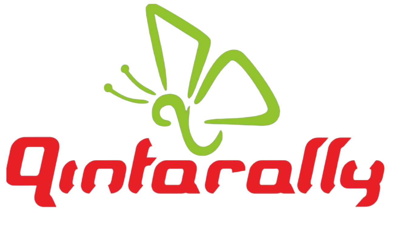 qintarally.com